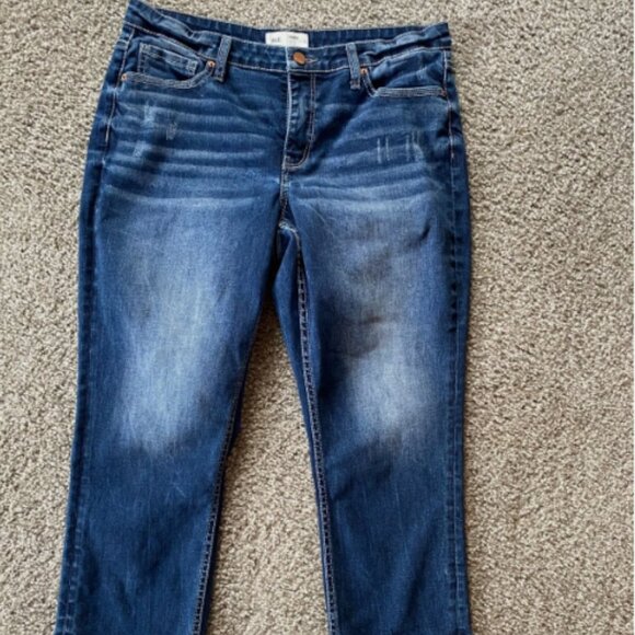 BKE Jeans Size 30 Gabby Curvy Fit High Rise Stretch Blue Denim Pants - Picture 1 of 4